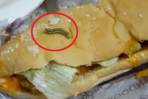 worm food