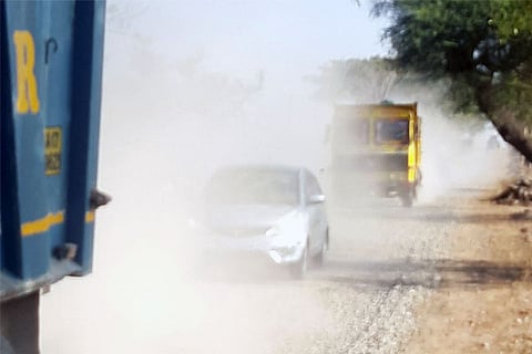 10 lxr 3 (2)