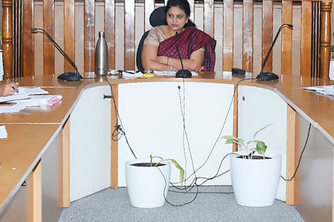 11CBP3DCMeeting
