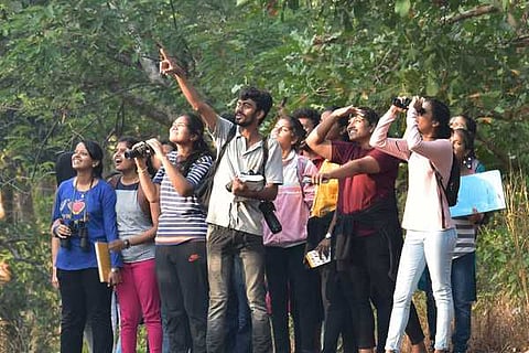 Bird Counting Mangalore VV