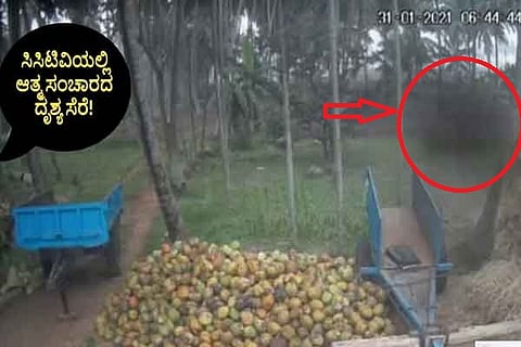 CCTV Ghost