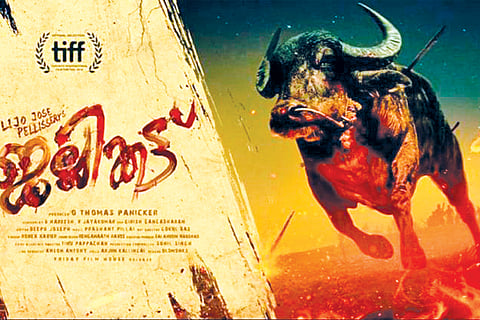Jallikattu - Final