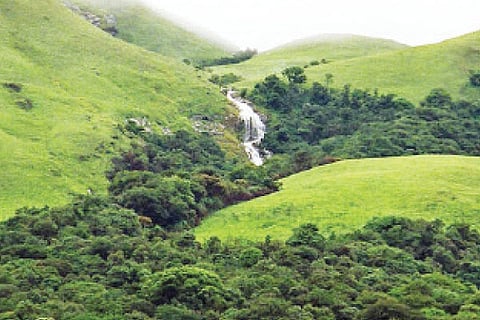 Kasthuri Rangan