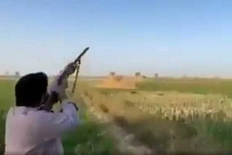 Shoot