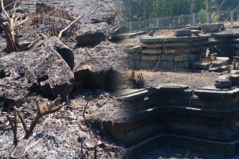 belur
