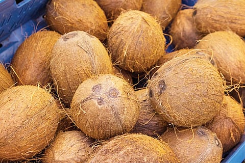 coconut