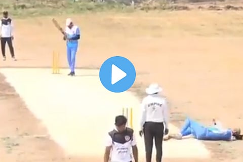 cricket