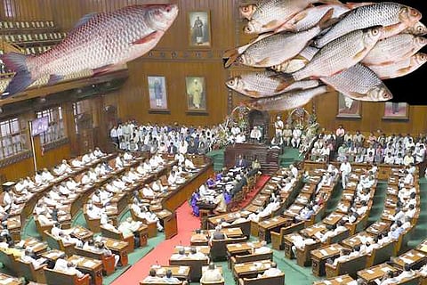 fish