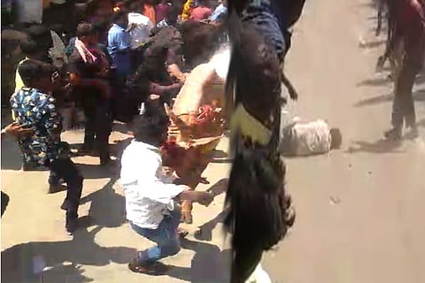 jallikattu