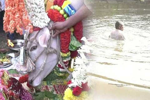 mandya