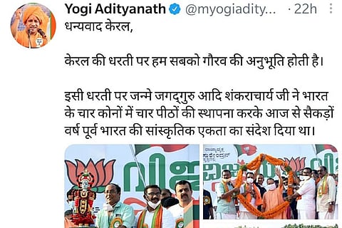 yogi