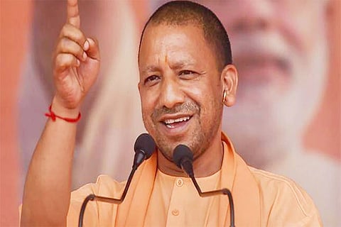 yogi