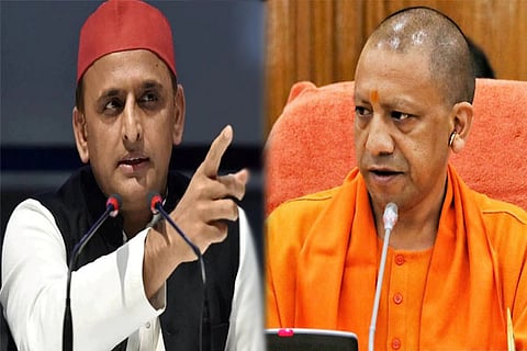 yogi