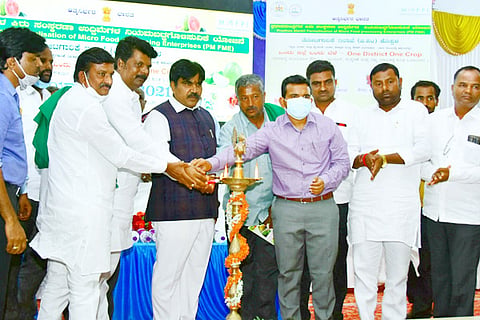 01032021 Koppal Guava growers workshop