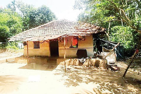 Gumpakallu