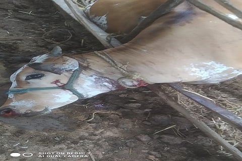 IMG-20210316-WA0036