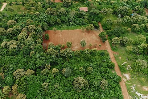 Jain Farms Farmland F