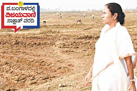Mamatha banerjee