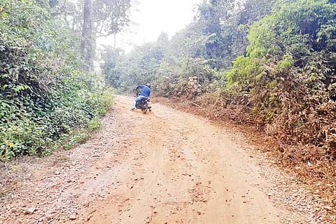 Nadpal Story