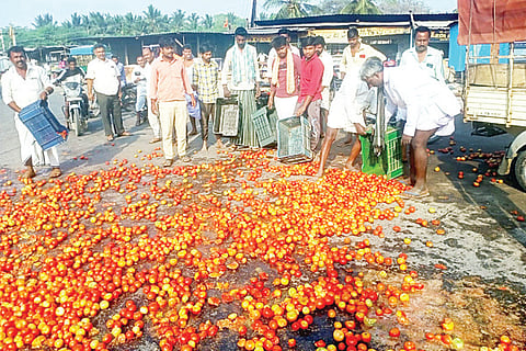 Tevaragera Tomato on Road