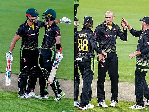 aus vs nz web