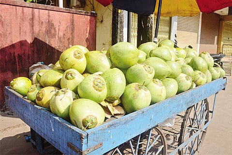 bonda