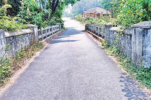 bridge new
