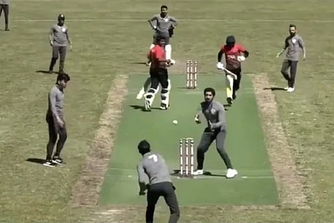 cricket