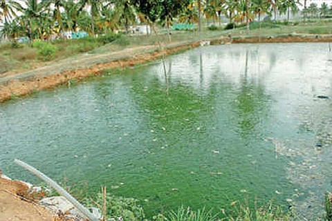 farm pit