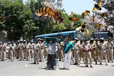 honey-bee-attack-to-police