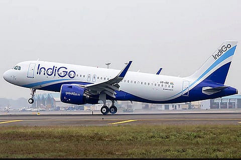 indigo