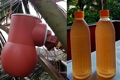 kalpavruksha rasa