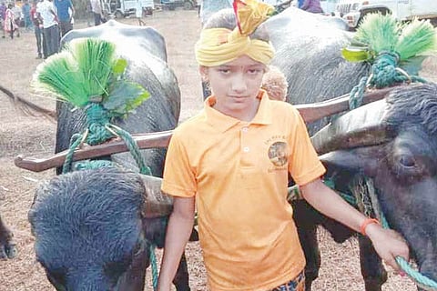 kambala new