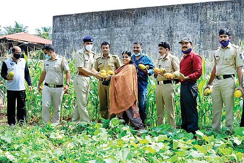 prison agriculture