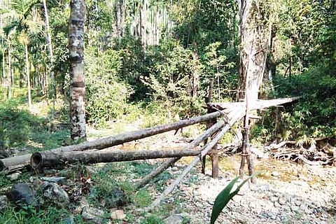pundalu