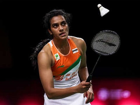 sindhu web