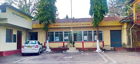 sirsi tp photo