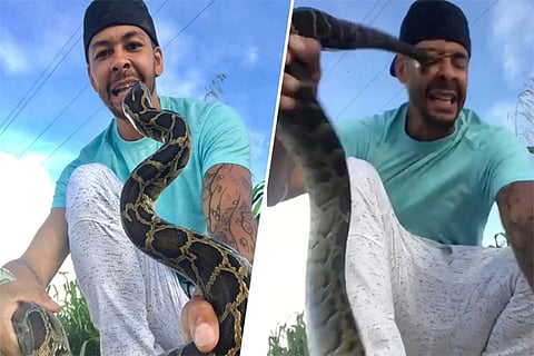 snake