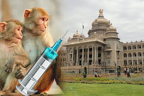 vidhanasoudha