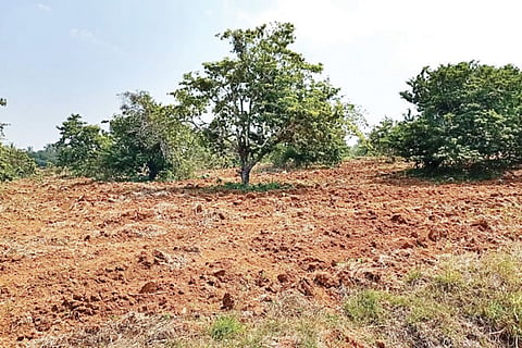 21sirsi1