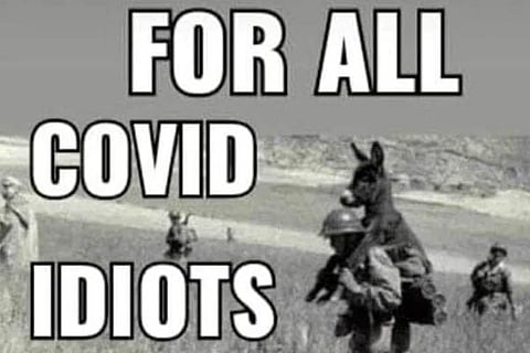 Donkey 111