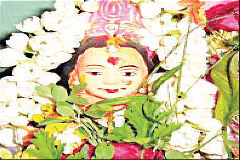 Gouri habba