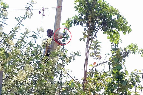 Mudgal CC Camera