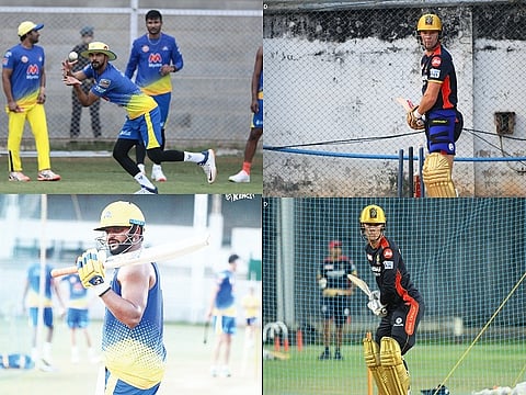 RCB AND CSK FOR WEB