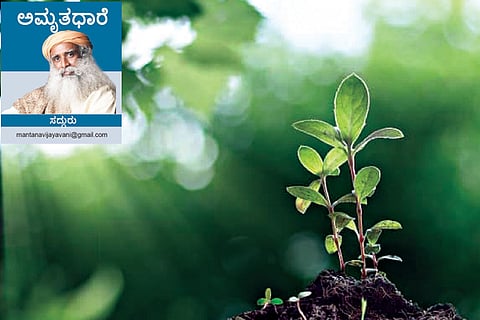 Sadhguru