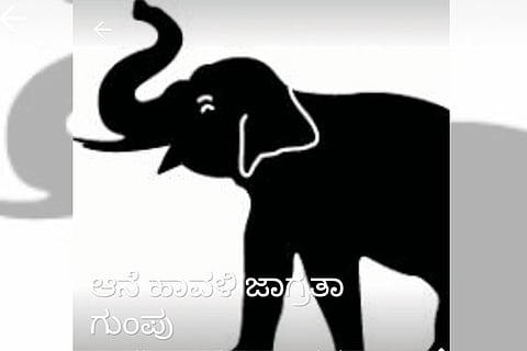 anedaali web