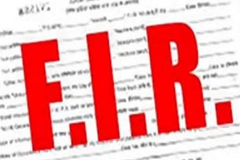 fir