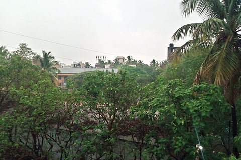 h29- Rain 1