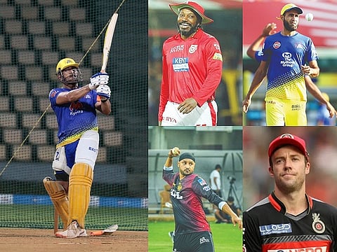 ipl stars web