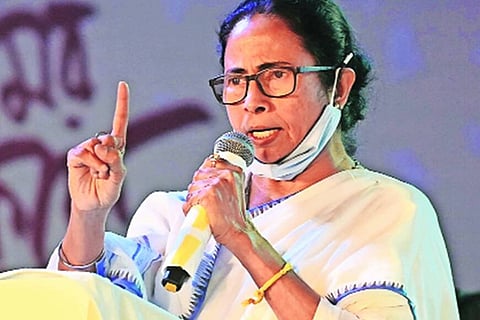 mamata